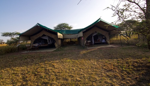 Family Tent