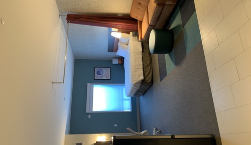 Studio, 1 King Bed, Accessible (Mobility & Hearing, Roll-in Shower)