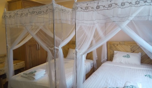 Executive Twin Room