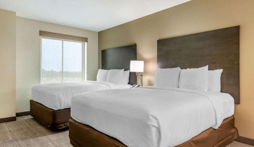 Standard Room, 2 Queen Beds, Non Smoking, Refrigerator & Microwave