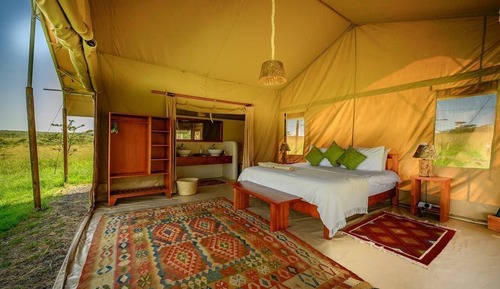 Superior Tent