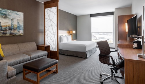 Room, 1 King Bed with Sofa bed (High Floor)