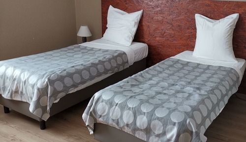 Basic Twin Room