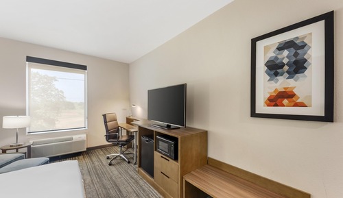 Standard Room, 1 King Bed, Accessible, Refrigerator & Microwave