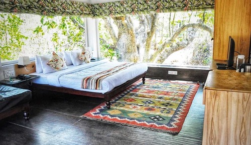 Tree House