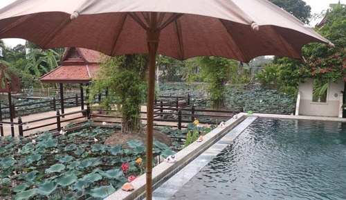 Superior Room, Garden View