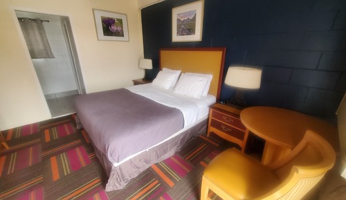 Room, 1 King Bed