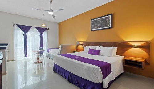Single Room, 1 King Bed