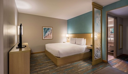 Room, 1 King Bed with Sofa bed (Airport View)