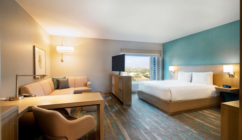 Room, 1 King Bed with Sofa bed (Specialty)