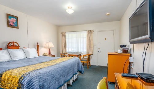 Basic Room, 1 King Bed, Mountain View