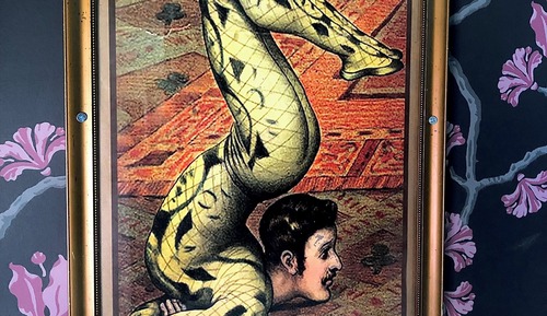 Room (The Acrobat's)