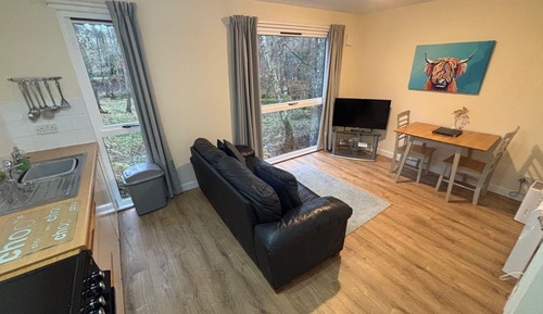 Cabin, 1 Bedroom (Woodland Twin Lodge)