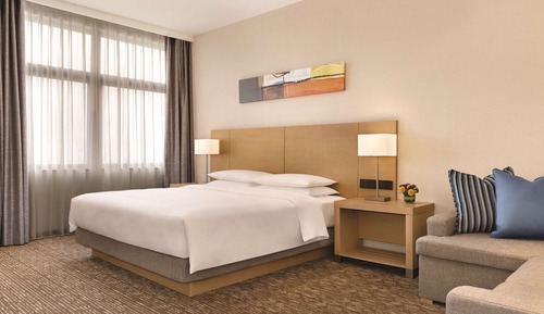 Room, 1 King Bed with Sofa bed