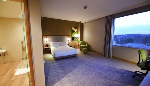 Room, 1 Queen Bed, Accessible