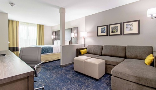 Suite, 1 King Bed with Sofa bed, Non Smoking