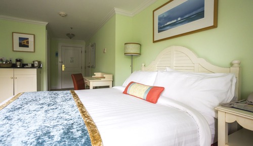 Standard Room, 1 Queen Bed (Queen Bed)