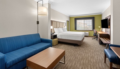 Suite, 1 King Bed (No Pets Allowed)