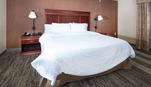 Room, 1 King Bed, Accessible