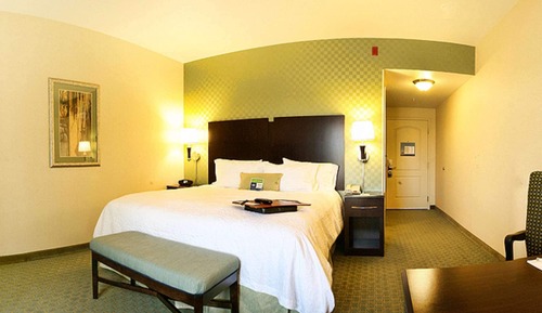 Room, 1 King Bed