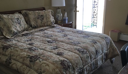 Room, 1 King Bed