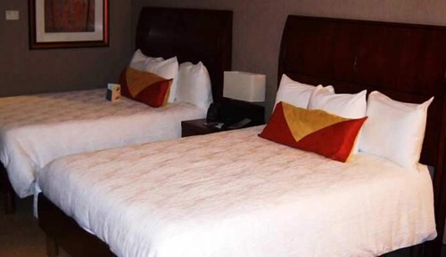 Two Queen Evolution Junior  Suite