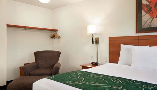 Room, 1 King Bed, Accessible, Non Smoking