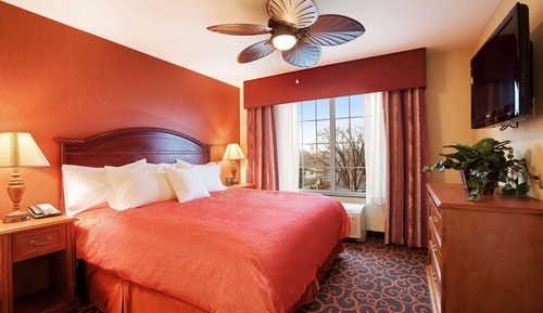 Suite, 1 Bedroom