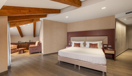 Junior Double or Twin Room, Terrace