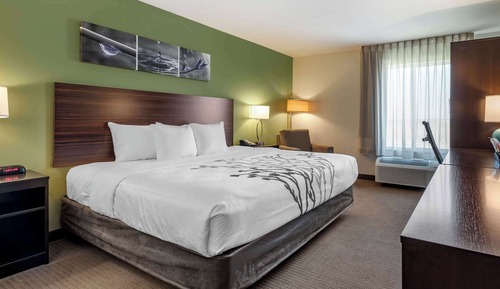 Standard Room, 1 King Bed, Non Smoking