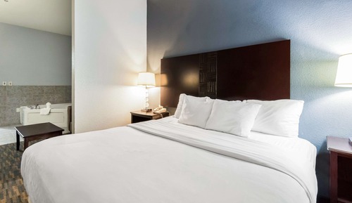 Standard Room, 1 King Bed, Accessible, Non Smoking