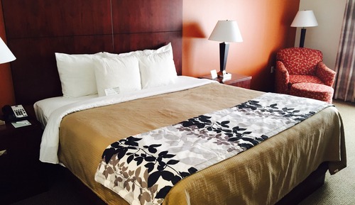 Room, 1 King Bed, Accessible, Non Smoking