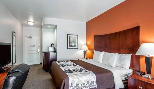 Room, 1 King Bed, Non Smoking