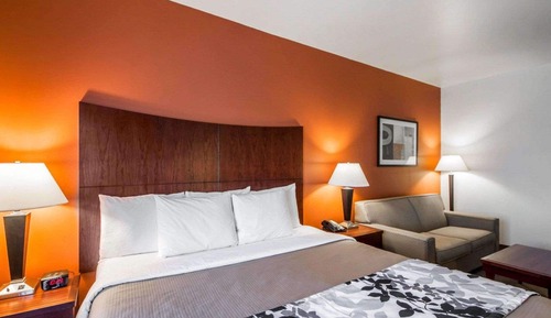 Suite, 1 King Bed with Sofa bed, Accessible, Non Smoking