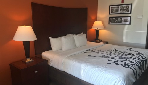 Suite, 1 King Bed with Sofa bed, Non Smoking