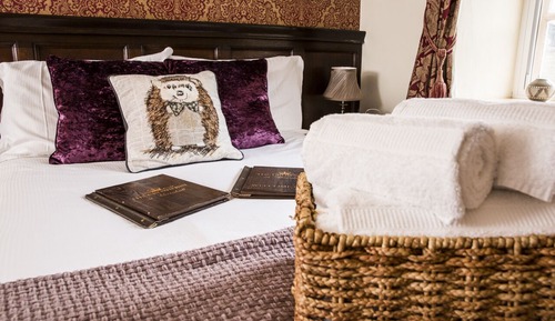 Superior Double Room, Ensuite (Disabled access (Shower))