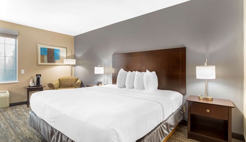Standard Room, 1 King Bed, Non Smoking, Refrigerator & Microwave