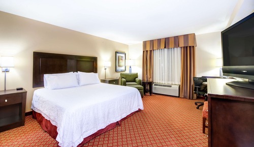 Room, 1 King Bed, Accessible, Non Smoking