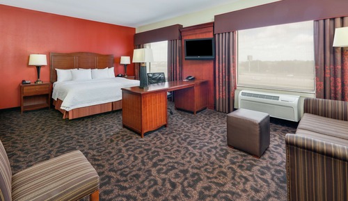 Studio Suite, 1 King Bed with Sofa bed, Non Smoking