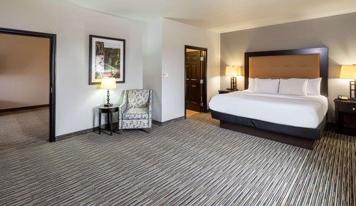 Deluxe Room, 1 King Bed, Non Smoking