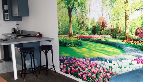Studio Room