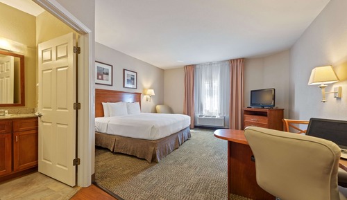 Standard Studio, 1 King Bed, Non Smoking, Refrigerator & Microwave