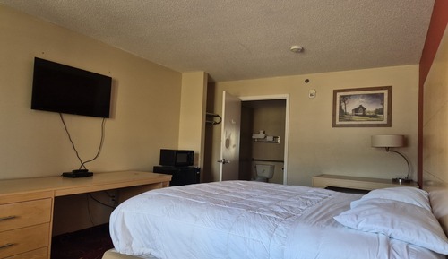 Standard Room, 1 King Bed, Accessible, Non Smoking