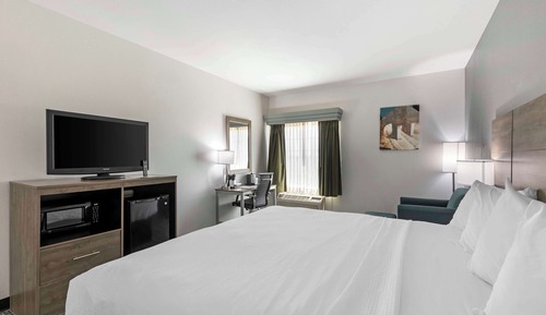 Standard Room, 1 King Bed, Non Smoking, Refrigerator & Microwave