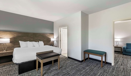 Suite, 1 King Bed, Non Smoking, Refrigerator & Microwave (with Sofabed)