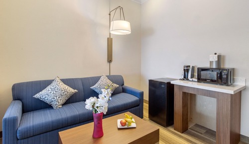 Suite, 1 King Bed, Accessible (Accessible Shower)