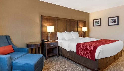 Room, 1 King Bed, Accessible, Non Smoking