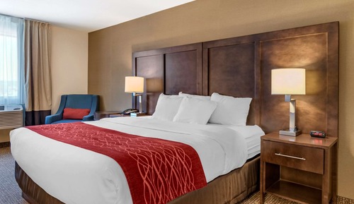 Room, 1 King Bed, Accessible, Non Smoking