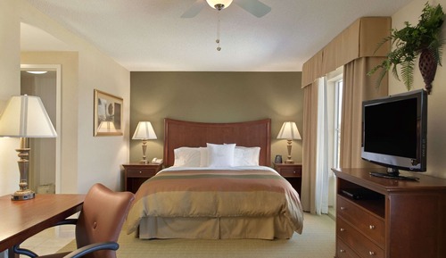 Studio Suite, 1 King Bed