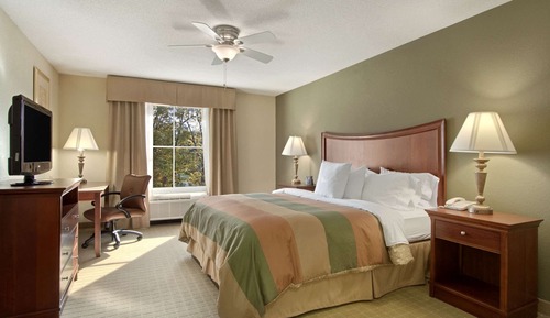 Suite, 1 King Bed